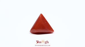 Red Coral - 6.1 Carat