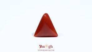 Red Coral - 5.7 Carat