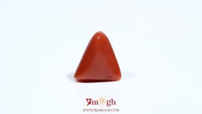 Red Coral - 5.45 Carat