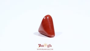 Red Coral - 6.05 Carat