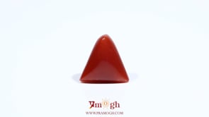 Red Coral - 5.5 Carat
