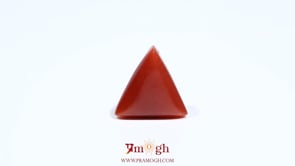 Red Coral - 5.85 Carat