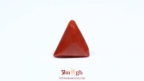 Red Coral - 5.55 Carat