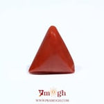 Red Coral - 5.55 Carat