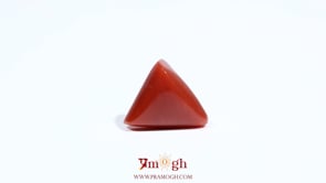 Red Coral - 5.45 Carat