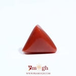 Red Coral - 5.45 Carat