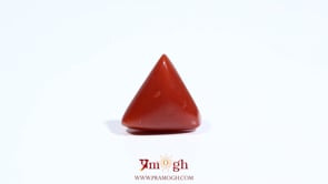 Red Coral - 5.6 Carat