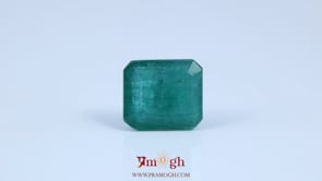 Zambian Emerald - 9.5 Carat