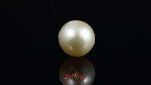 Pearl - 12.6 Carat