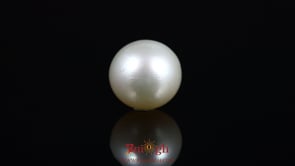 Pearl - 13.15 Carat