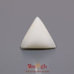 White Coral - 9.9 Carat