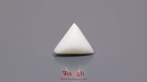 White Coral - 6.3 Carat