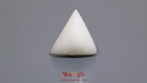 White Coral - 14.6 Carat
