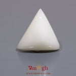 White Coral - 14.6 Carat