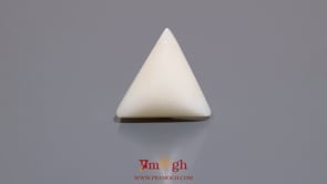 White Coral - 11.5 Carat