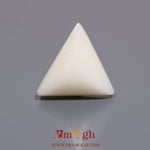 White Coral - 11.5 Carat