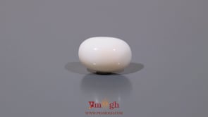 White Coral - 7.65 Carat