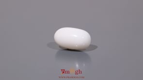 White Coral - 6.4 Carat