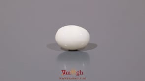 White Coral - 5.65 Carat