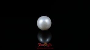 Pearl - 6.15 Carat