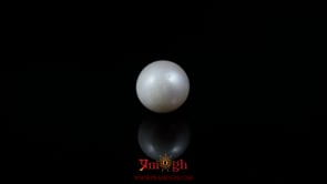 Pearl - 6.15 Carat