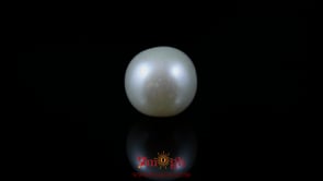 Pearl - 5.8 Carat
