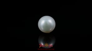 Pearl - 4.05 Carat