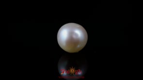 Pearl - 4.95 Carat