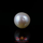 Pearl - 4.95 Carat