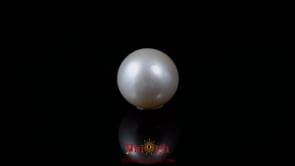 Pearl - 4.6 Carat