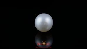 Pearl - 4.85 Carat