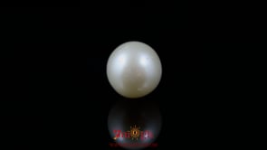 Pearl - 4.65 Carat