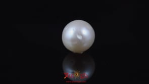 Pearl - 5.9 Carat