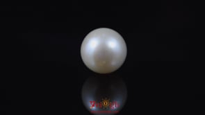 Pearl - 6.05 Carat