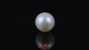 Pearl - 6.1 Carat