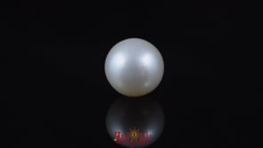 Pearl - 5.85 Carat