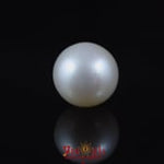 Pearl - 5.85 Carat