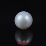 Pearl - 5.8 Carat