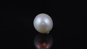 Pearl - 5.85 Carat