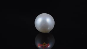 Pearl - 6.15 Carat