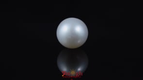 Pearl - 5.85 Carat
