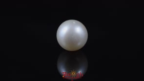 Pearl - 5.85 Carat