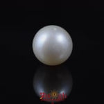 Pearl - 5.85 Carat