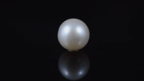 Pearl - 6.1 Carat