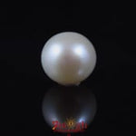 Pearl - 6.15 Carat