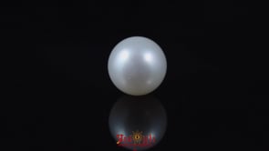 Pearl - 6.15 Carat