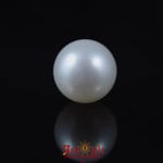 Pearl - 6.15 Carat