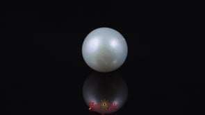Pearl - 5.85 Carat
