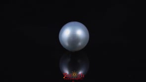 Pearl - 5.85 Carat