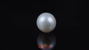 Pearl - 5.05 Carat